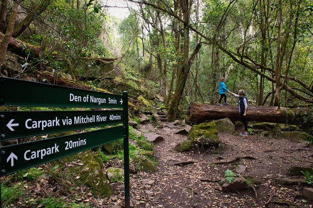 Mitchell River National Park